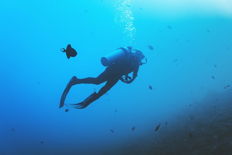 Panos Aravanis Professional Diver